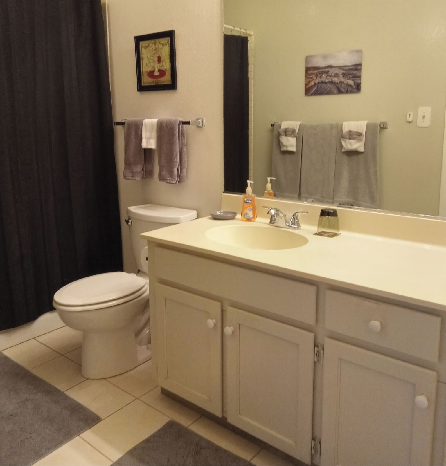 Een badkamer met toilet, wastafel en spiegel. Handdoeken hangen aan een rek, en er hangt een lijst met een afbeelding aan de muur.