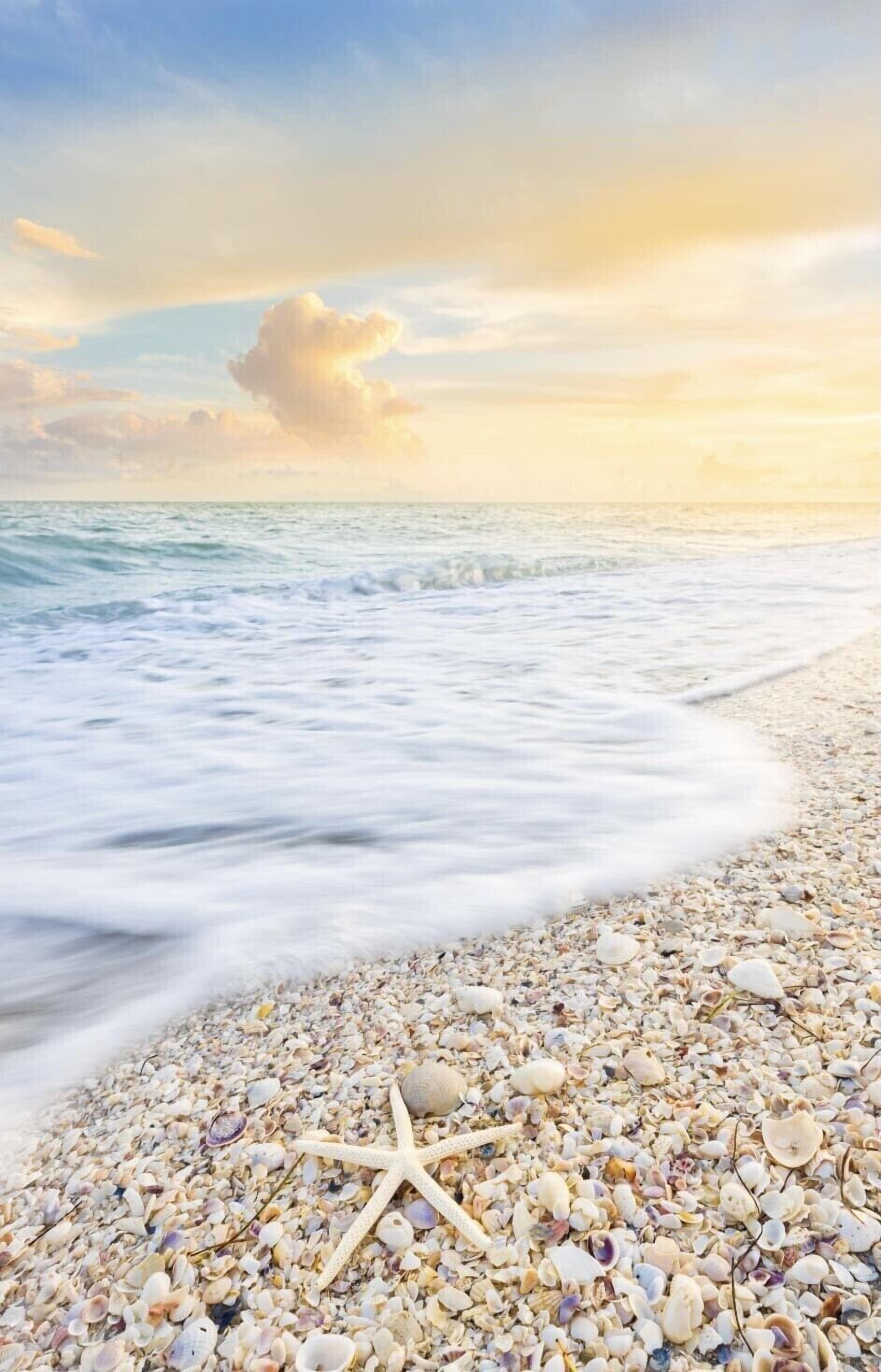 På stranden, solstolar och strandhanddukar