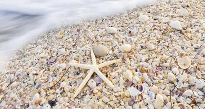 Gulf-Front: Dreamy Views, Renovated, Steps from Beach