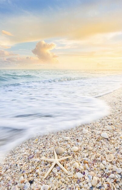 Gulf-Front: Dreamy Views, Renovated, Steps from Beach