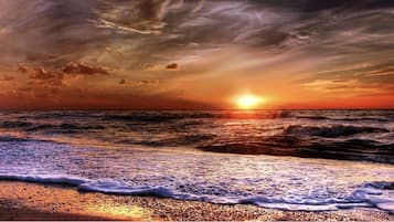 Plage, chaises longues, serviettes de plage