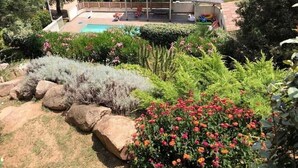 A pool area with a covered seating area and a pergola. - Maremuntagna lux. villa sea view 7 bed swim. pool 10min city (Porto-Vecchio)