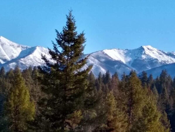 A mountain landscape with snow-capped peaks and a dense forest of coniferous trees.
