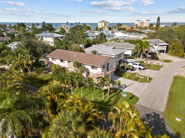 A residential area with houses, palm trees, and a view of the ocean.