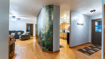 Una televisión, un reproductor de DVD, una videoteca