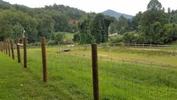Terrain de l’hébergement 