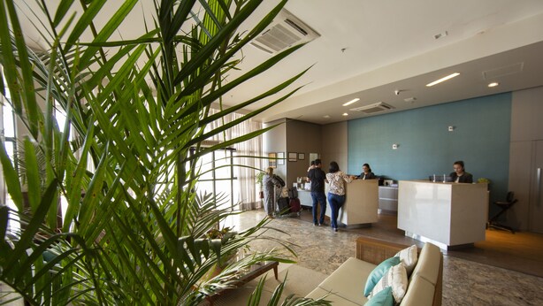 A reception area with a reception desk, a waiting area with a sofa and a coffee table, and a large potted plant in the foreground. - Acorde com vista mar em Ponta Negra (Natal)