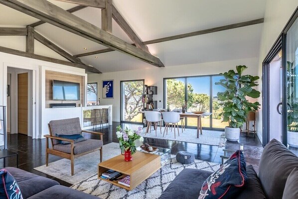 TV, books, video library - Contemporary house Bidart (Bidart)