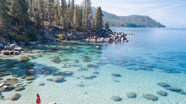 A clear lake with visible rocks and a forested island in the background.