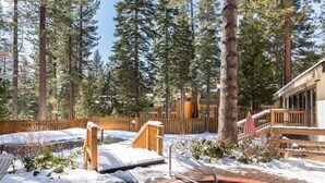 A pool area surrounded by tall trees, wooden deck, and a wooden fence.