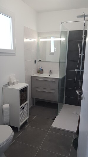 Shower, towels, toilet paper
