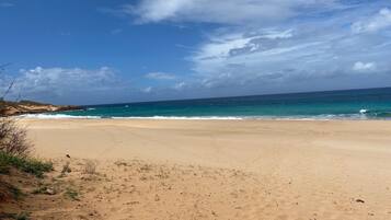 Plage à proximité, chaises longues, serviettes de plage