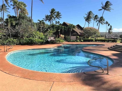 Kepuhi Beachfront Lofted Studio w/pool & BBQ. Remote and Private. Hawaii's best.