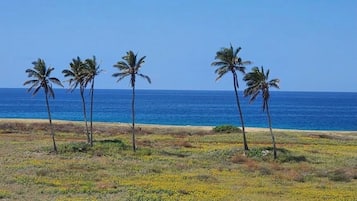 Am Strand, Liegestühle, Strandtücher
