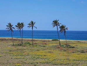 En la playa, camastros y toallas de playa