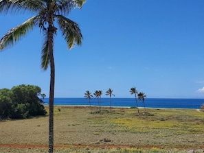 På stranden, solstolar och strandhanddukar