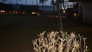 A nighttime view of a coastal area with palm trees and a building with a sloped roof. - West Molokai. Remote and Private. Hawaii's best. Ocean view Watch the Whales (Maunaloa)