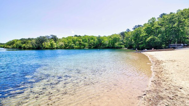 Une plage à l’eau claire, un rivage sablonneux et une zone boisée en arrière-plan.