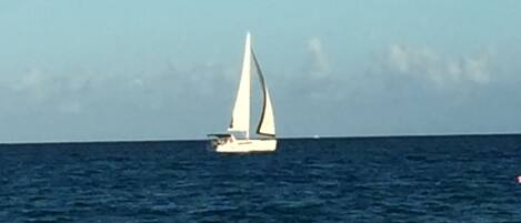 In Strandnähe, Strandtücher