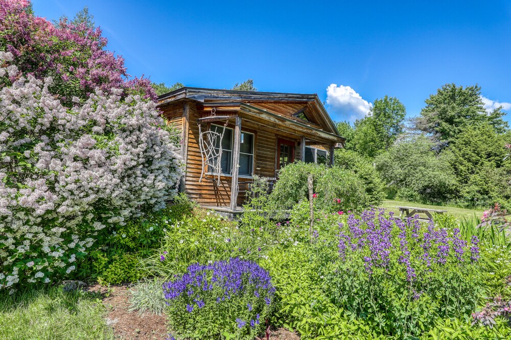 Cozy studio cabin with free WiFi, firepit, gas fireplace, and patio