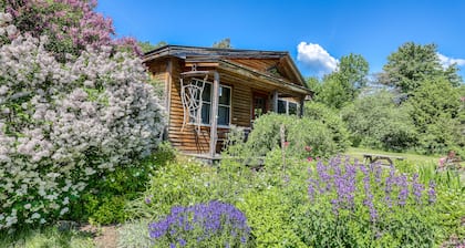 Cozy studio cabin with free WiFi, firepit, gas fireplace, and patio