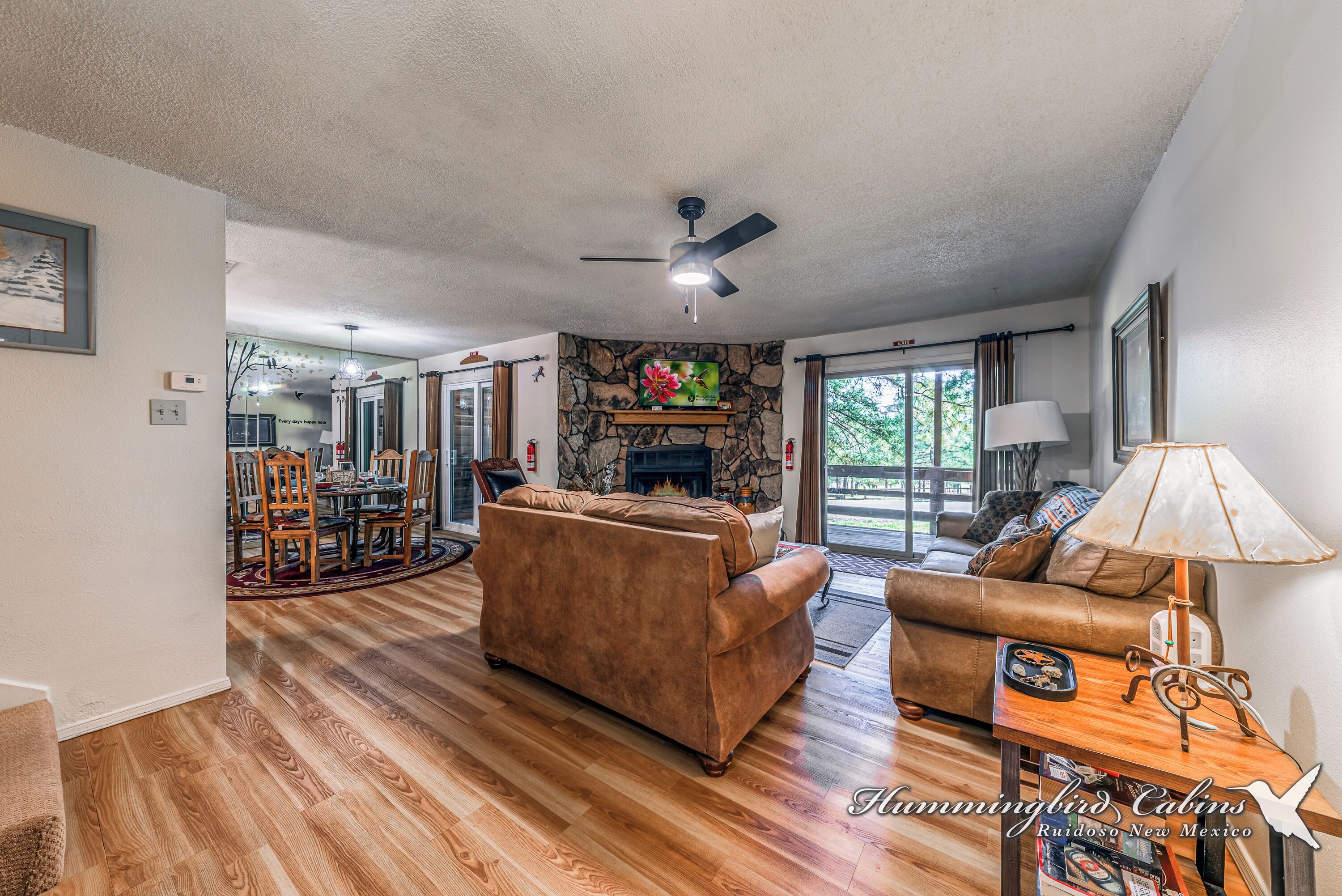 电视、壁炉、DVD 播放器