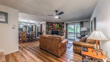 TV, fireplace, DVD player