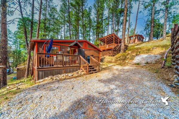 Exterior - A Step Above: Cozy Cabin Retreat Near River & Midtown Ruidoso! (Ruidoso)