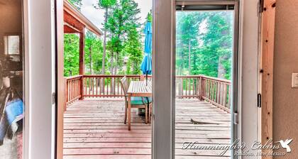 A rare "Spotted Owl" in the pine trees w/ hot tub & Pet Friendly!