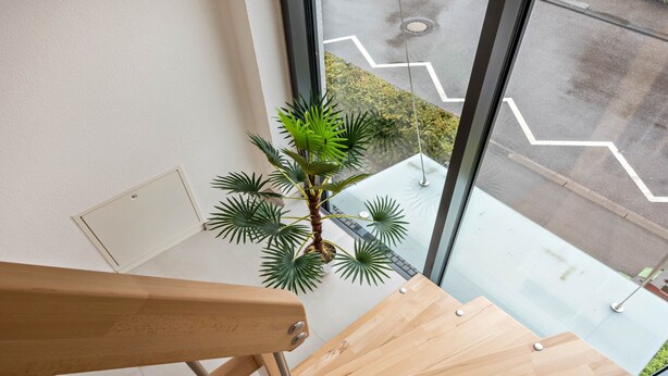 Un escalier en bois orné d’un pot de fleurs, une fenêtre donnant sur un parking et une rampe métallique.