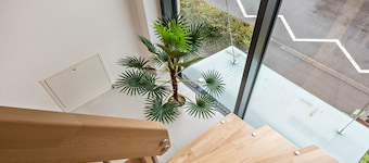 Apartment "Ferienwohnung RosenRot am See" with a View of the Vineyard