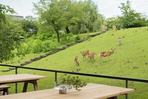 Restaurant - MIROKU NARA by THE SHARE HOTELS (Nara)