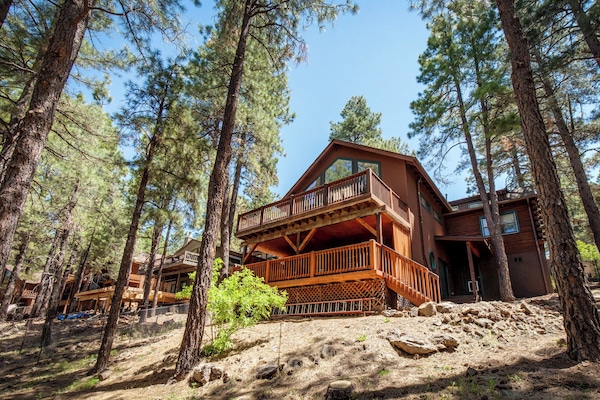Majestic cabin among the pines