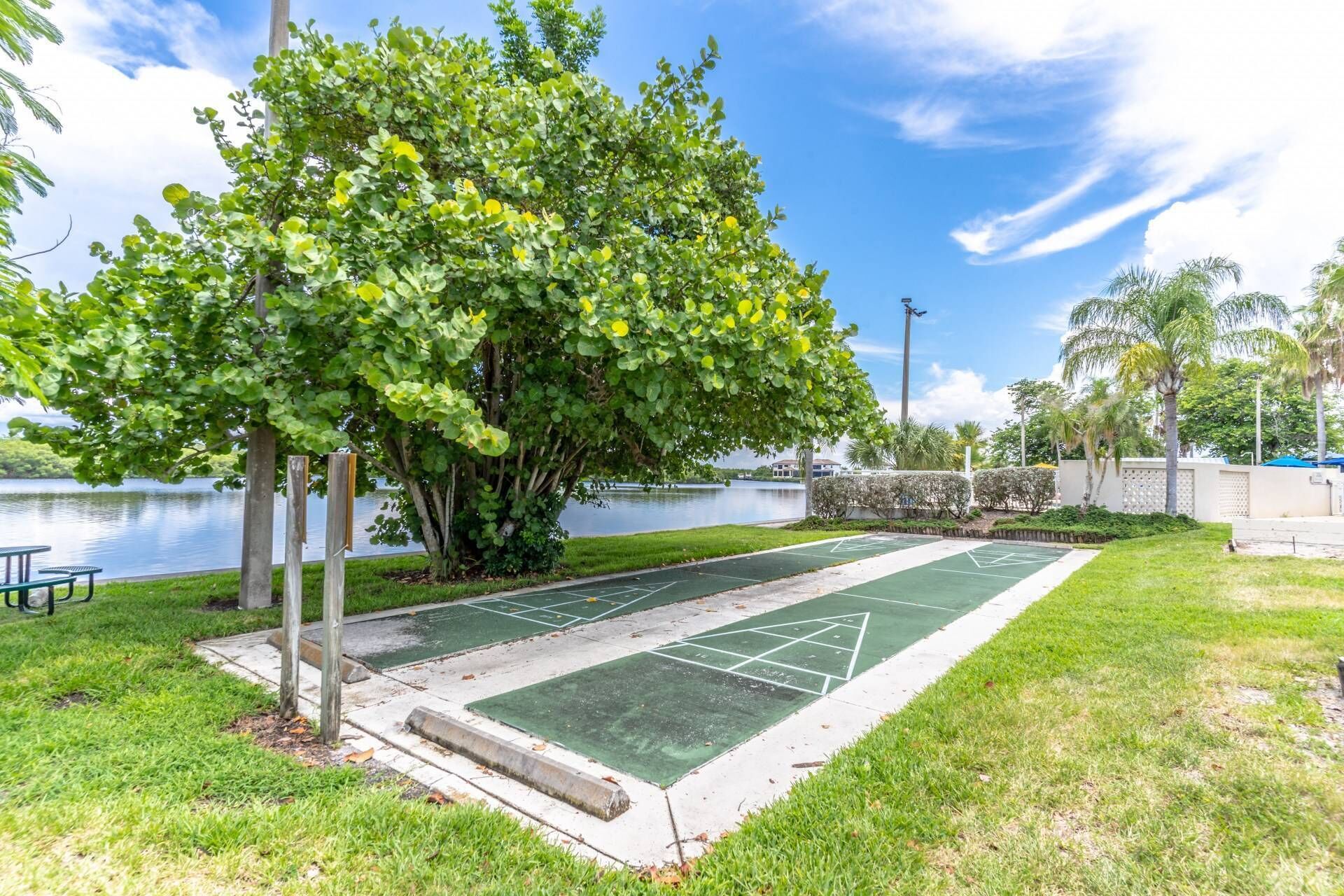 A park with a shuffleboard court, a picnic table, and a large tree.