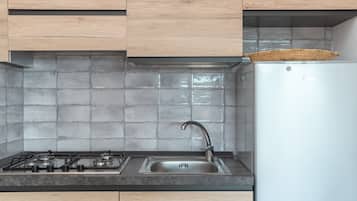 Fridge, oven, stovetop, cookware/dishes/utensils