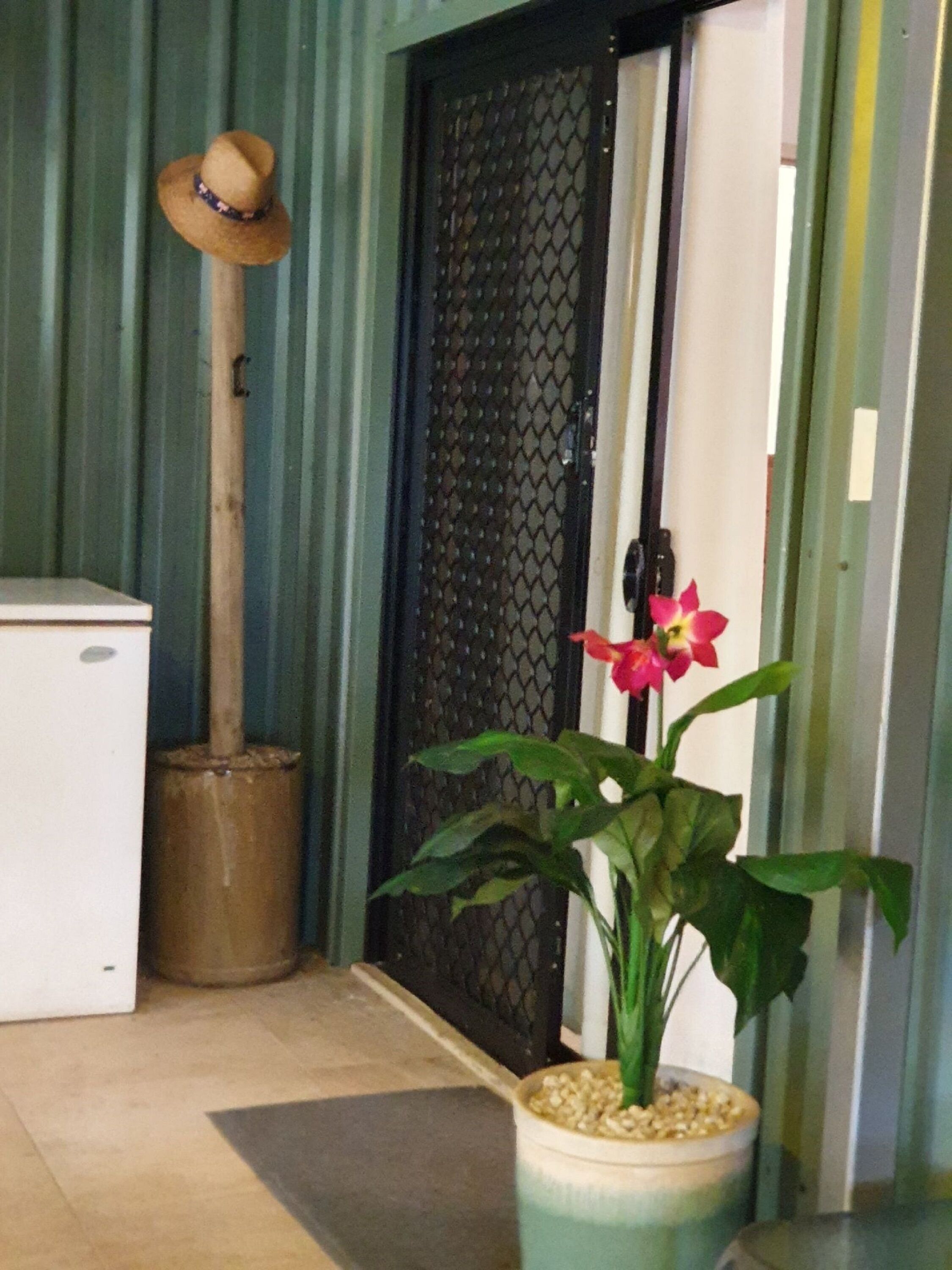 Curlew Lodge -1 road back from beach. Limited WiFi is now available — image 8