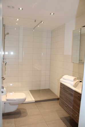 Douche, séchoir à cheveux, serviettes fournies, savon