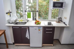 Luksus-værelse til 4 personer | Privat køkken | Køleskab, mikrobølgeovn, kogeplade, elkedel