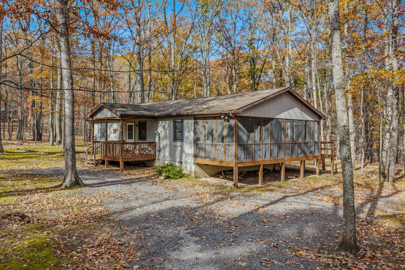 Welcome to Namba Cabin!