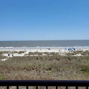 On the beach, sun-loungers, beach towels - Panoramic view, hear the sounds, feel the moods of the beach. No price increase. (Hilton Head Island)