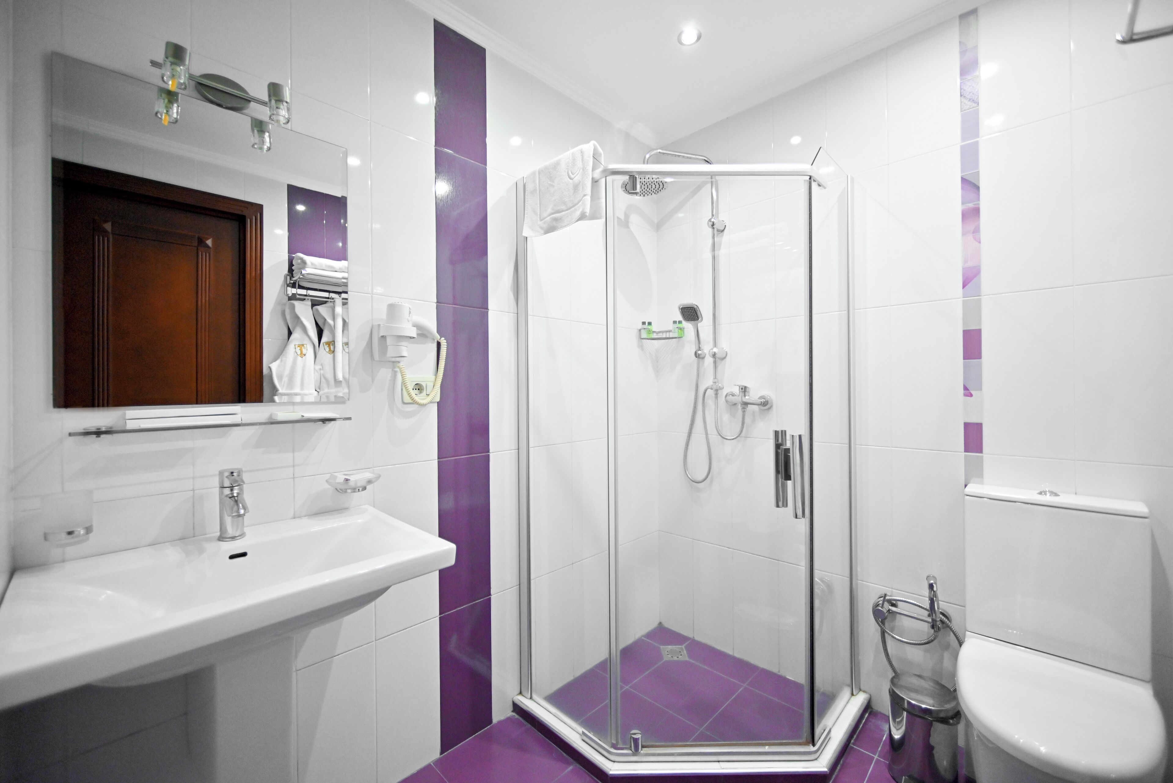 A modern bathroom with a glass-enclosed shower, a white sink, and a toilet.