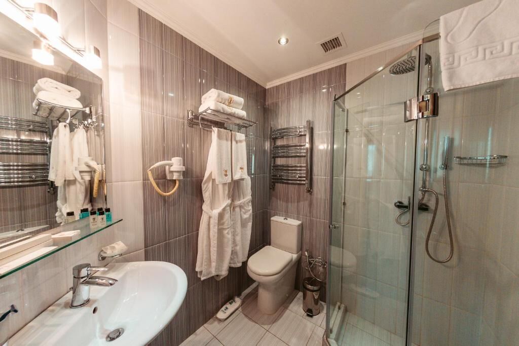 A modern bathroom with a glass shower enclosure, a white sink, and a toilet.