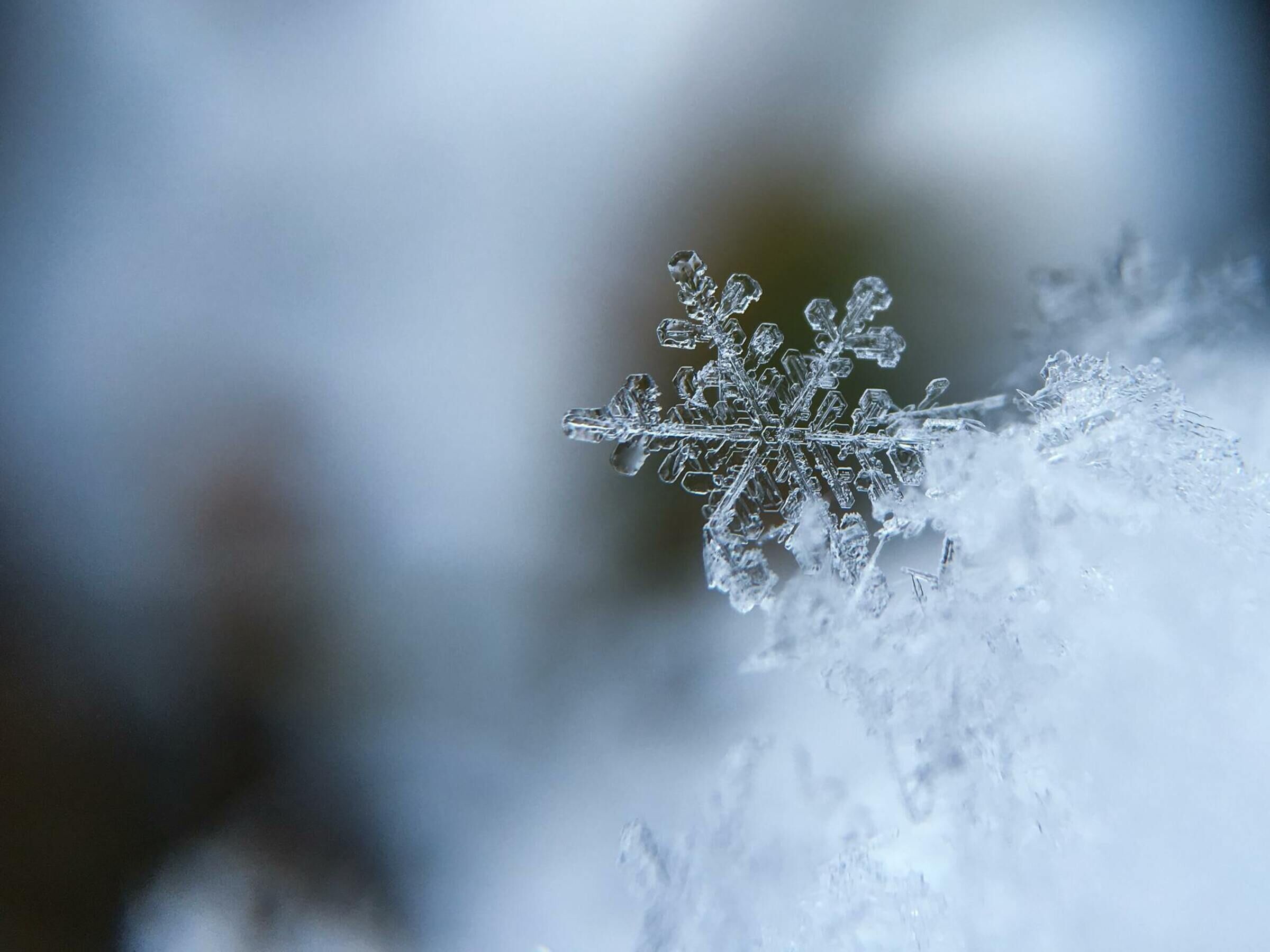 Een close-up van een sneeuwvlok op een bevroren oppervlak.