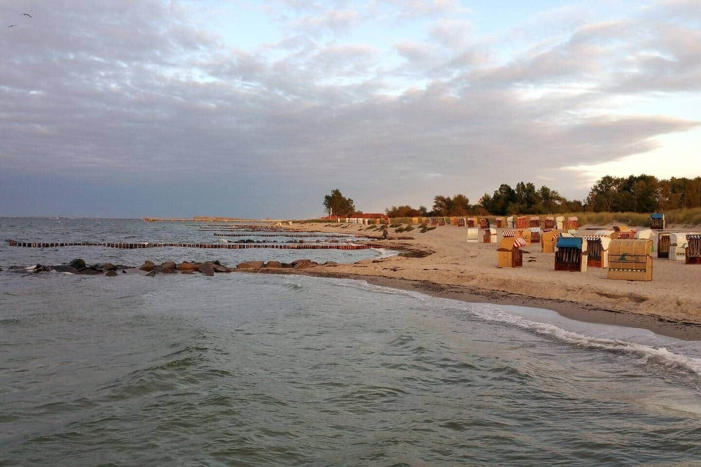 Plage, chaises longues