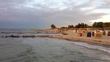 Plage, chaises longues