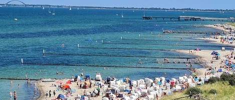 On the beach, sun-loungers