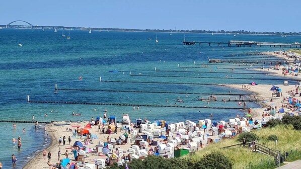 On the beach, sun-loungers