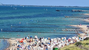 On the beach, sun loungers