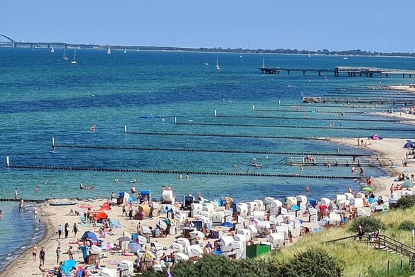 En la playa y camastros 