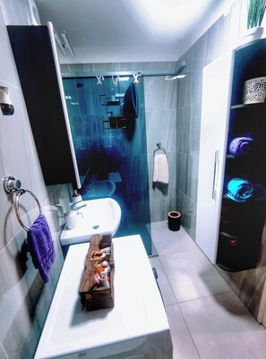 Apartment | Bathroom | Shower, hair dryer, towels, shampoo